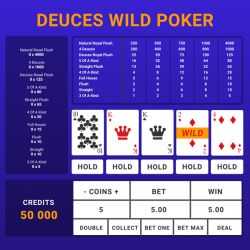 Video Poker Main Features