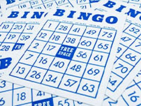 bingo-480x360sh