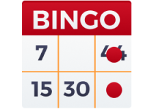 2-8-bingo-225x160sh