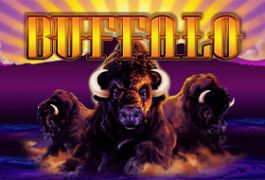 buffalo-270x180s