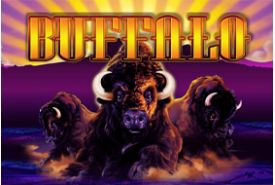 Buffalo review