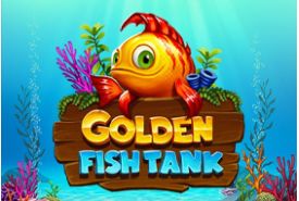Golden Fish Tank review