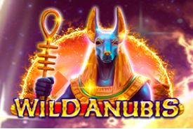 Wild Anubis review