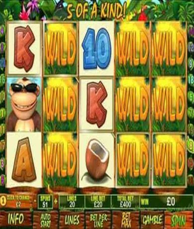 Play in Banana Monkey Slot Online From Playtech for free now | Ecasinos.ph